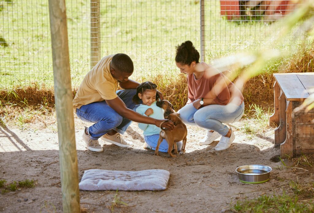 Black family, dog and animal shelter with a father, mother and child volunteer together to help wit