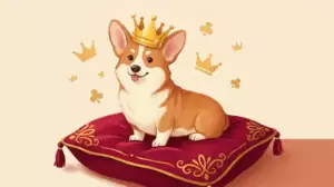 10 Regal and Weird Facts About Corgis