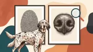 Canine Nose Prints: Your Dog’s Unique Fingerprint