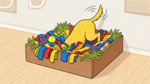 Why Is Your Dog Digging the Carpet and Dirt?