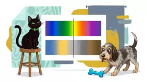 What Colors Do Dogs See? The Canine Rainbow Explained